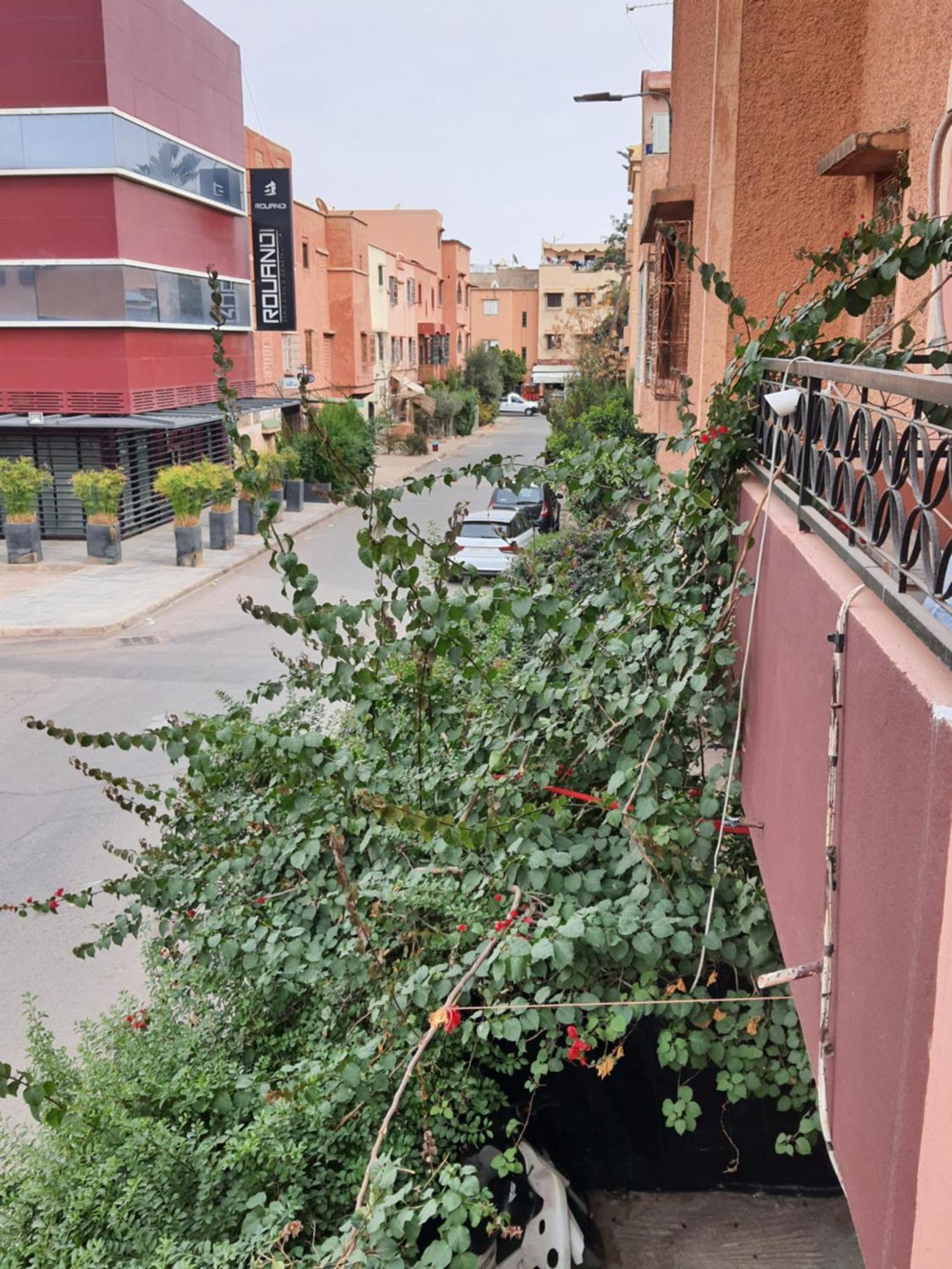 Marrakech Plus Marakeş Dış mekan fotoğraf