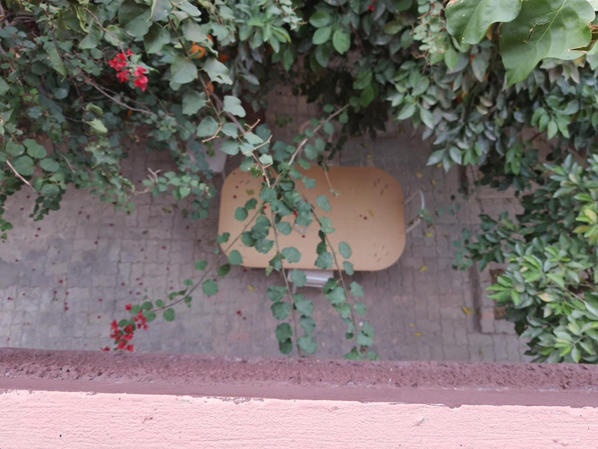 Marrakech Plus Marakeş Dış mekan fotoğraf